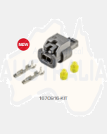 Ionnic 1670916-KIT Connector Kit Suit P2512150HD