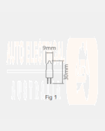 Ionnic 059-024/20W Globe Halogen 24V 20W G4