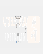 Ionnic 060-012/100W Globe Halogen 12V 100W G6.35