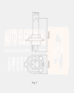 Ionnic 64196 Globe Halogen H4 24V 75/70W P43t-38