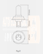 Ionnic 64198 Globe Halogen H4 12V 60/55W P43t-38