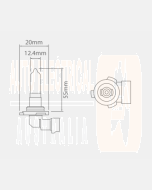 Ionnic 9005 Globe Halogen HB3 12V 60W P20d Base