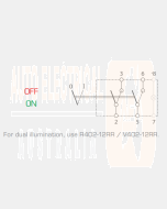 Ionnic  R404-24R-XX All Switches Rocker with Print