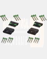 Delphi P-WP6/2 6 Circuit Weather Pack Kit